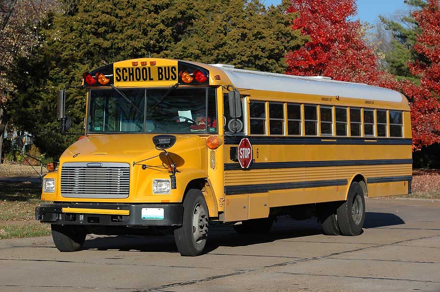 School Bus Vehicles For Sale